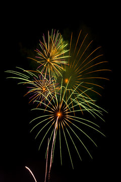 firework isolated on black background, sumida river firework fes