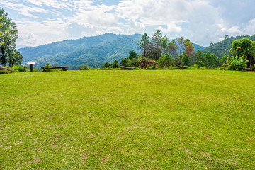 Area of grass lawn on mountaintop in Northern Thailand