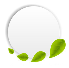 Realistic Leaves Background with  Space
