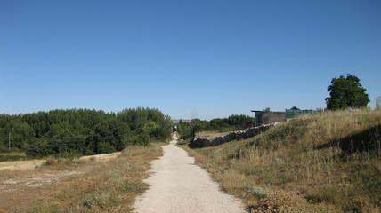 Caminos entre la naturaleza.