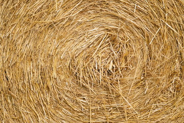 Strohballen Detail