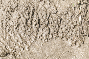  wet sand closeup