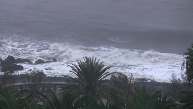 High angle view of palm tree tops swaying by the seashore and sea waves braking on the rocky beach on a dark stormy day at the seaside