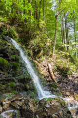 Fototapeta premium waterfall in the Carpathian mountains
