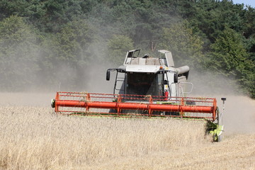 Ernte - Getreide - M&auml;hdrescher 