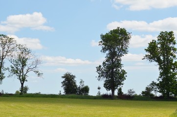 widok pola  © agnes78