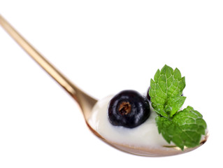 Delicious yogurt in spoon with blackcurrants and mint isolated on white
