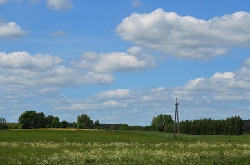 widok pola  © agnes78