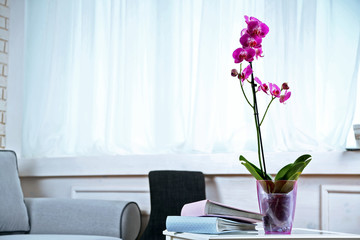 Beautiful lilac orchid in pot on table in room