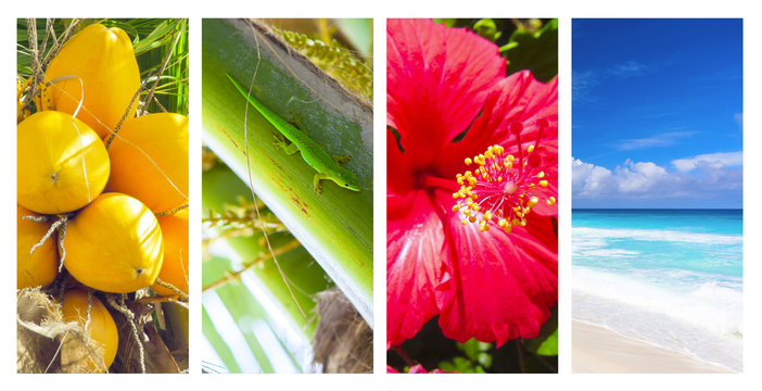 Seychellen Collage