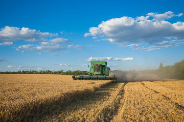 Obraz premium Harvesting combine in the field 