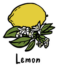 Lemon fruit