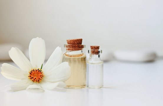 liquid organic cosmetic product bottles creamy fresh flower white background bathroom shelf sunlit attar tonic beauty care