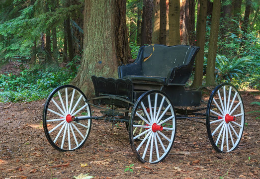Abandon vintage horse drawn carriage in the woods.