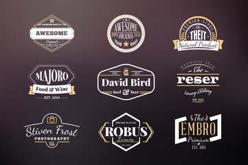 Set of Hipster Retro Badges, Labels, Logotypes. Vector Design Templates
