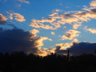 Закат над лесом