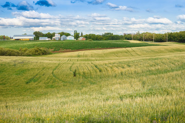 Fototapeta na wymiar Countryside landscape with barley and potato fields and farm yar