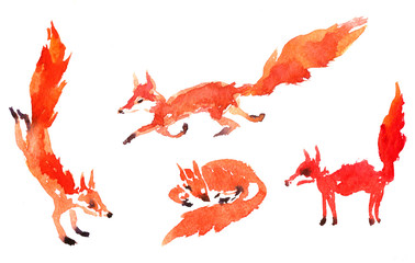 set of watercolor foxes