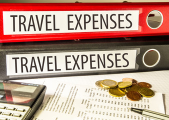 Travel expenses (traveling, travelling)
