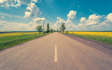 Rural road with fields of canola