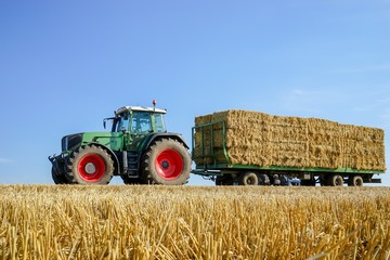 Strohernte - große Strohballen werden vom Feld transportiert