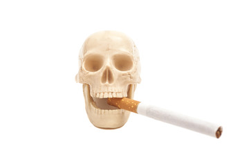 Human scull with cigarette isolated on white