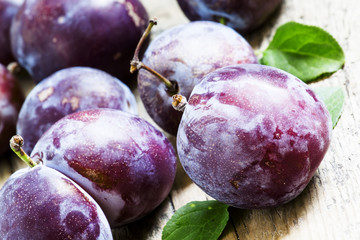 Large purple plum, selective focus