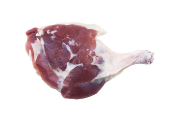 Raw chicken thigh isolated