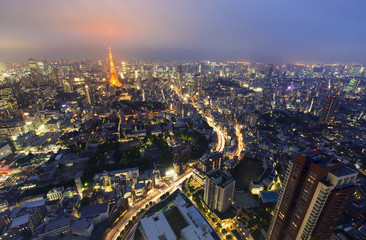 Tokyo from above with Tokyo Tower in the background at night