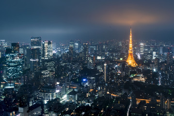 Tokyo from above with Tokyo Tower in the background