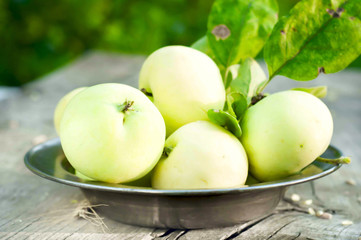 Bowl of green apples