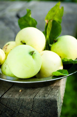 Bowl of green apples