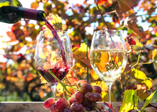 Weinprobe im Herbst :)