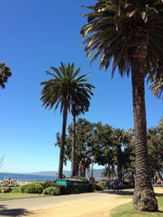 Santa Monica beach front