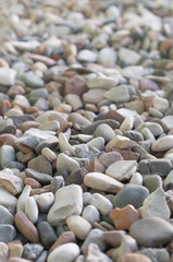 Kies, pflegeleichter Bodenbelag im Garten, Drainage, Schüttstoff, Kiesfläche, Zuschlagstoff, Korngrößen