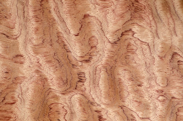 Close up photo of wood detail on exotic veneer