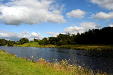 The River