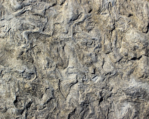 Stone texture background