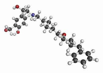 Salmeterol asthma drug molecule. 