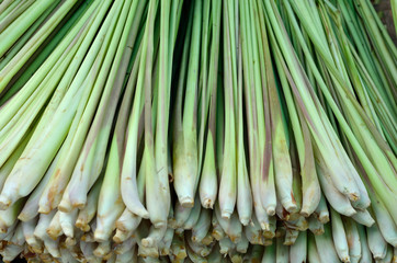 Lemon grass