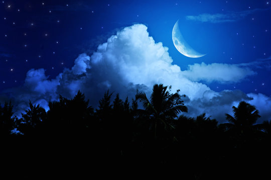 Night landscape with the moon
