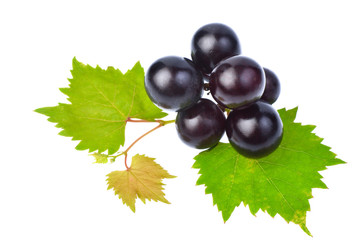 Black grape with leaf isolated on white background