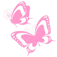 butterflies design