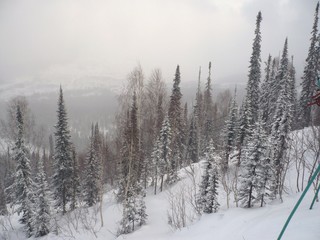 Naklejka premium Черневая тайга на склонах горы Зелёная. Шерегеш, Кемеровская область