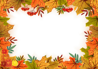 Naklejka na ściany i meble Autumn leaves, rowan and flowers. Template frame