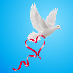 Dove
