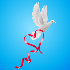 Dove