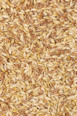 wheat as background