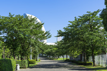 横浜みなとみらいの臨港パーク