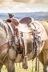 Fototapeta premium Horse saddle on the ranch